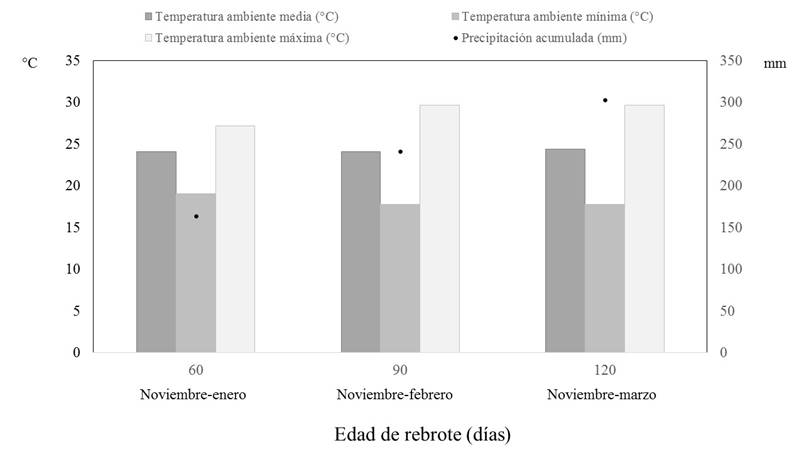 Temperatura ambiente (&deg;C) y precipitaci&oacute;n pluvial acumulada (mm)
							durante el per&iacute;odo de estudio considerando la duraci&oacute;n de la edad de
							rebrote.