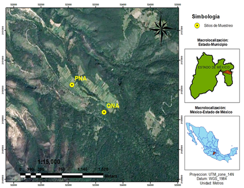 Localizaci&oacute;n del sitio de estudio.