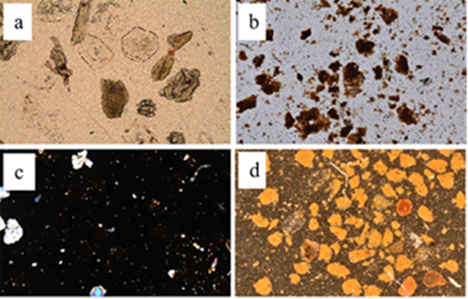 A) Fracci&oacute;n arenosa en sitio no afectado por incendios en LPC; b) fragmentos de arenas en choque t&eacute;rmico a 750 &deg;C, en LPP; c) los minerales y las pseudoarenas son opacos y no reflejan la luz en LPC); d) los mismos minerales y pseudoarenas ahora reflejan colores rojizos en luz incidente. c) y d) corresponden a arenas del horno de un incendio de copa en pino. Longitud del marco 2.9 mm. 