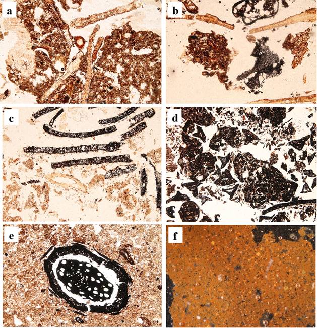 Dep&oacute;sitos de ac&iacute;culas (A) parcial (B) o totalmente carbonizadas (C). Agregados quemados (D), ra&iacute;ces carbonizadas con una masa basal sin quemar (E) y estructura masiva (F) (B). Luz polarizada plana con una longitud del marco 5.3 mm.
