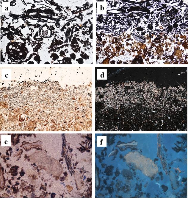 Residuos carbonizados (A), con agregados quemados (B). Cenizas pardo claro (C) de naturaleza calc&iacute;tica (D) o fosfatadas depositadas en el espacio poroso (E) y con auto fluorescencia (F). Luz polarizada plana (A, B, C y E), luz polarizada cruzada (D) y luz fluorescente (F). Longitud del marco 5.3 mm.
