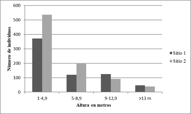 Distribuci&oacute;n de las clases de altura de los individuos con DAP &ge; 1.0 cm de los 20 cuadros de selva mediana subcaducifolia en el ejido de Hobom&oacute;, Campeche, M&eacute;xico. 