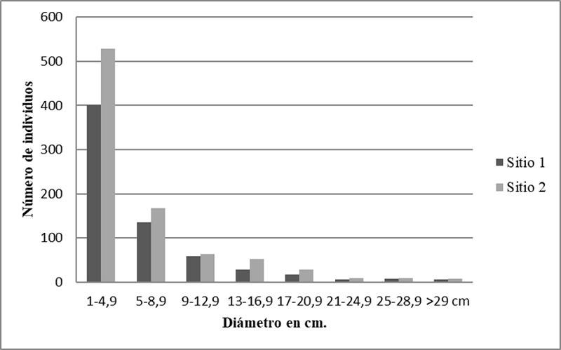 Distribuci&oacute;n de las clases diam&eacute;tricas de los individuos con DAP &ge; 1 cm de los 20 cuadros de selva mediana subcaducifolia en el ejido de Hobomo, Campeche, M&eacute;xico.