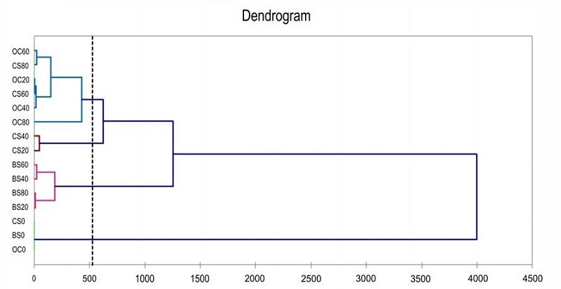 Dendrogram with the dispersion of the 15 treatments for the production of angico branco seedlings. CS - carnaúba straw; OC - organic compost; BS - decomposed burity stem; HD -humid density; DD - dry density; WRC - water retention capacity; AS - aeration space; PV - pore volume. 