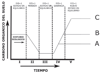 Modelo conceptual del contenido de C org&aacute;nico del suelo por producci&oacute;n y acumulaci&oacute;n posterior a un disturbio o perturbaci&oacute;n ecol&oacute;gica (Fuente: Adaptado de Johnson, Levine y Kern (1995) e IPCC (2005). Un estado en equilibrio (I) ocurre cuando las entradas de C v&iacute;a producci&oacute;n de biomasa (P) es igual que las p&eacute;rdidas de C v&iacute;a descomposici&oacute;n (D), (i.e., P/D = 1). Despu&eacute;s de una perturbaci&oacute;n D frecu&eacute;ntemente supera a P, lo que resulta en p&eacute;rdida de C (II), hasta que un nuevo estado con bajo contenido de C se enriquece (III). Con la ejecuci&oacute;n de buenas pr&aacute;cticas que favorecen la acumulaci&oacute;n de C, donde P supera a D, ocurre re-acumulaci&oacute;n (IV) de C hasta llegar a un nuevo estado enriquecido (V). Los nuevos estados (A, B, C) dependen de las pr&aacute;cticas adoptadas para recuperar carbono.