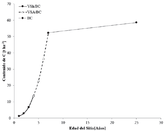Contenidos de carbono en cronosecuencias para bosques cultivados (BC) y vegetaci&oacute;n secundaria herb&aacute;cea (VSh/BC) y arb&oacute;rea (VSA/BC) de bosques cultivados.