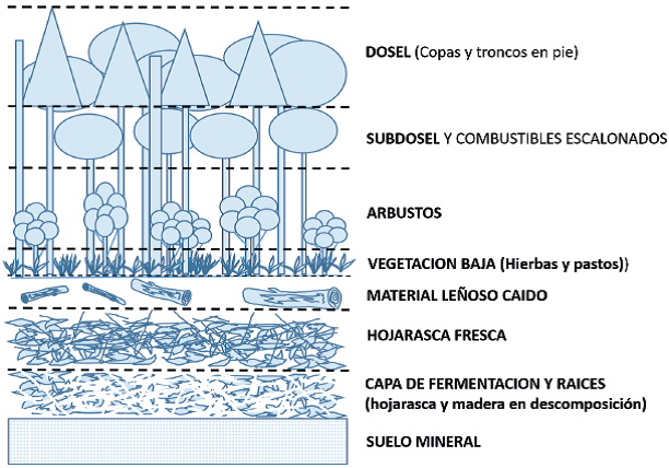 Modelo conceptual de los componentes de una cama de combustibles forestales (adaptado de Morf&iacute;n et al., 2012).