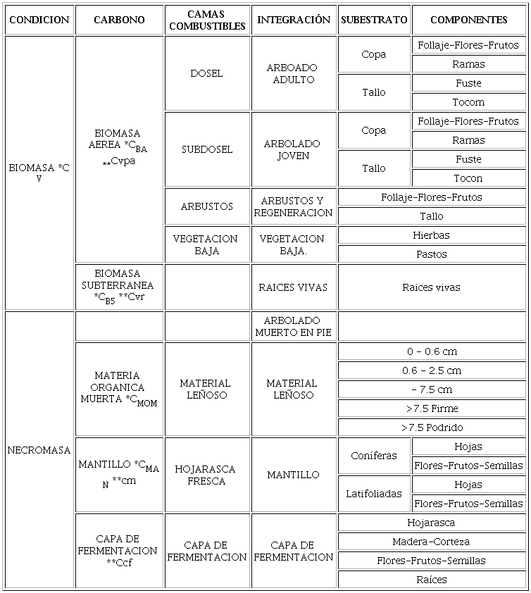 Comparaci&oacute;n de diferentes clasificaciones de combustibles forestales, enfocadas a la evaluaci&oacute;n de contenidos de carbono.