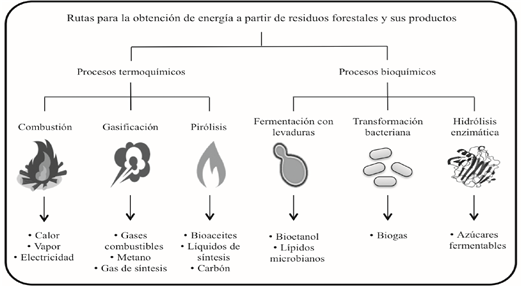 Rutas para la obtención de energía a partir de residuos forestales.