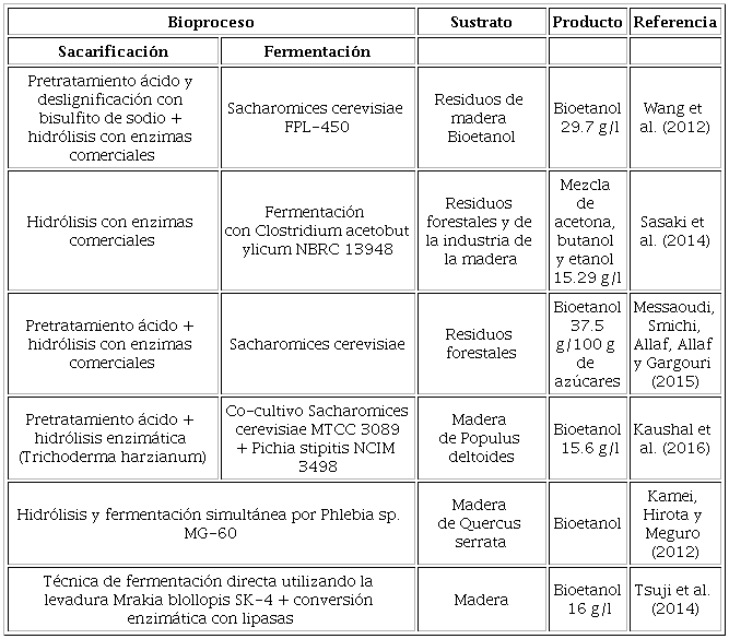 Procesos de fermentación para la producción de etanol a partir de biomasa y residuos forestales.