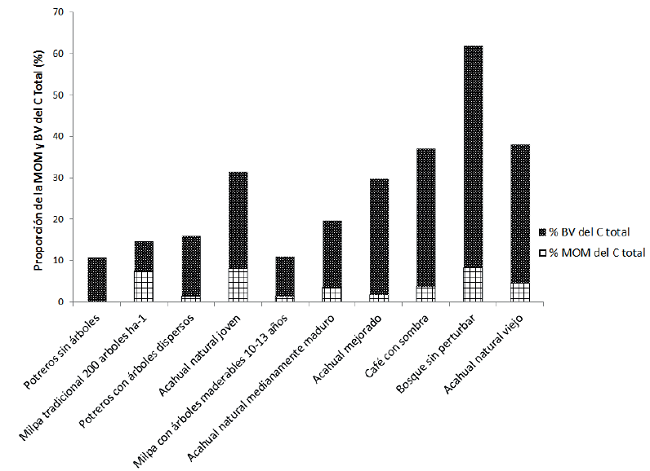 Almacenes de carbono en distintos sistemas forestales (bosque y acahuales) y agroforestales con ma&iacute;z, caf&eacute; y ganader&iacute;a en Chiapas, M&eacute;xico.