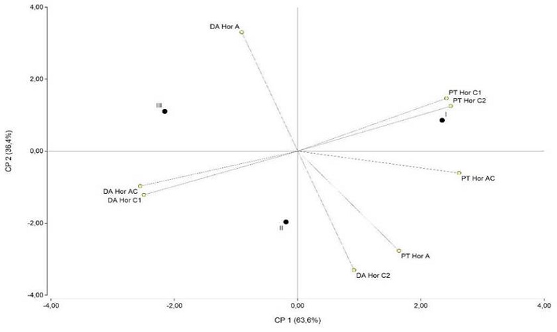 Relación de las variables físicas, porosidad total (PT) y densidad
							aparente (DA) en diferentes horizontes del perfil, en relación con las
							clases de calidad de sitio I, II y III.
