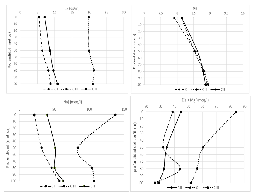 Variación de las propiedades químicas CE, PH, [ca+Mg] y [Na], en la
							profundidad del perfil y para cada clase de calidad de sitio.