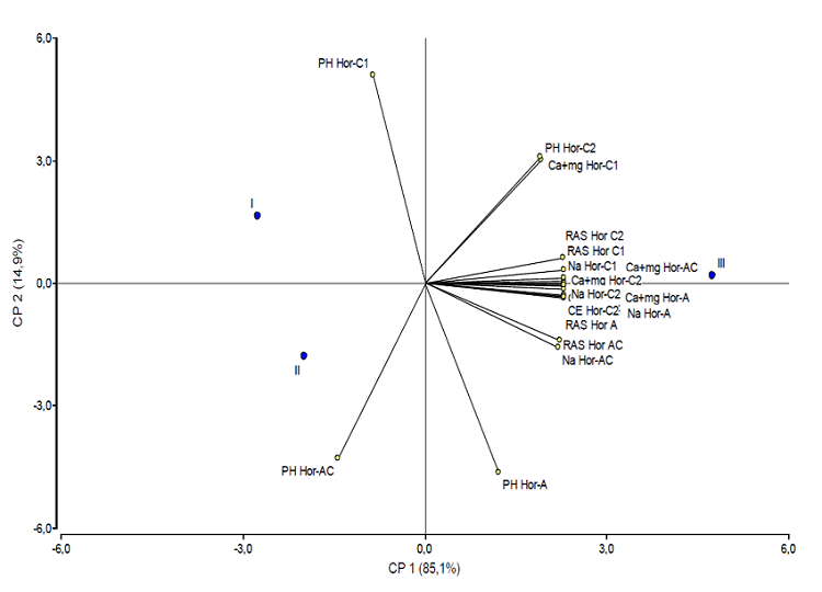 Relación de las variables químicas, ph, cationes solubles (Ca+Mg, Na)
							CE y RAS en diferentes horizontes del perfil, en relación con las clases
							de calidad de sitio I, II y III.