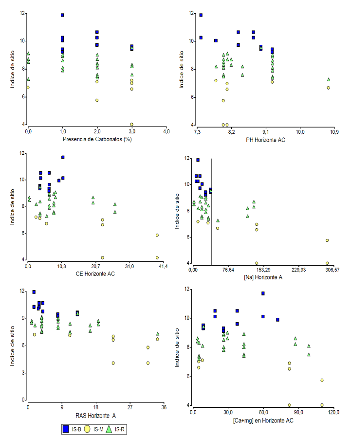 Relación del índice de sitio con el contenido de carbonatos en el
							perfil, pH, CE, cationes solubles y RAS en suelos de los
							rodales.