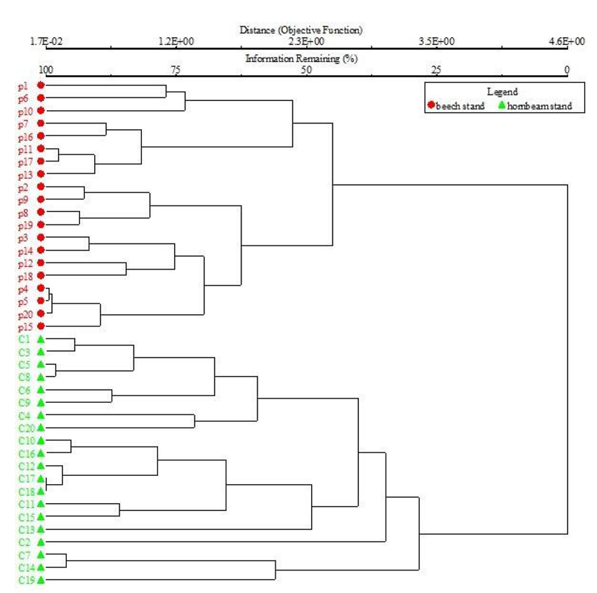 Diagram of cluster analysis on 40 sampled plots in the study area.