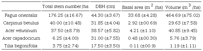 Statistical parameters for dominant species in the mixed beech stand (Mean&plusmn; standard deviation). 