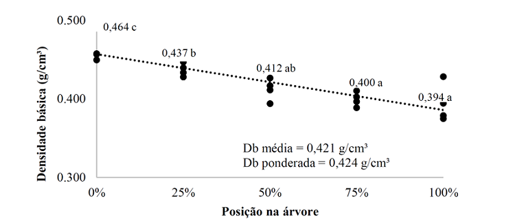 Densidade b&aacute;sica da madeira de P. glabra e sua varia&ccedil;&atilde;o longitudinal.