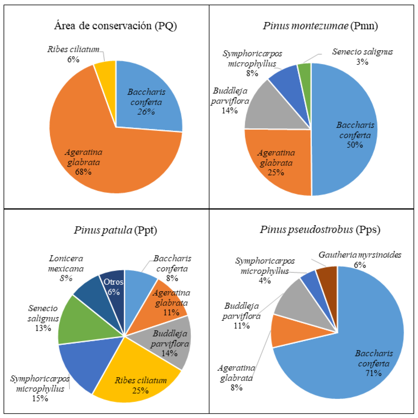Porcentaje de importancia relativa por especie y asociaci&oacute;n en el estrato arbustivo del ejido Nopalillo, Hidalgo, M&eacute;xico.