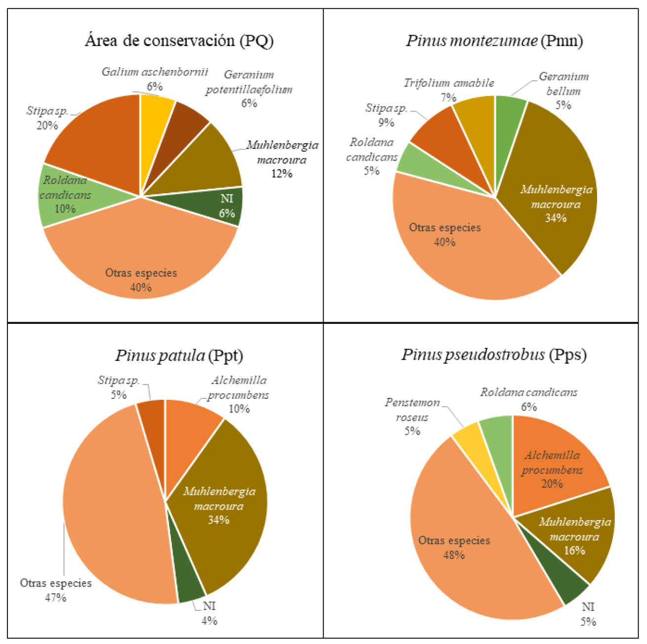 Porcentaje de importancia relativa por especie y asociaci&oacute;n vegetal en el estrato herb&aacute;ceo del ejido Nopalillo, Hidalgo, M&eacute;xico.