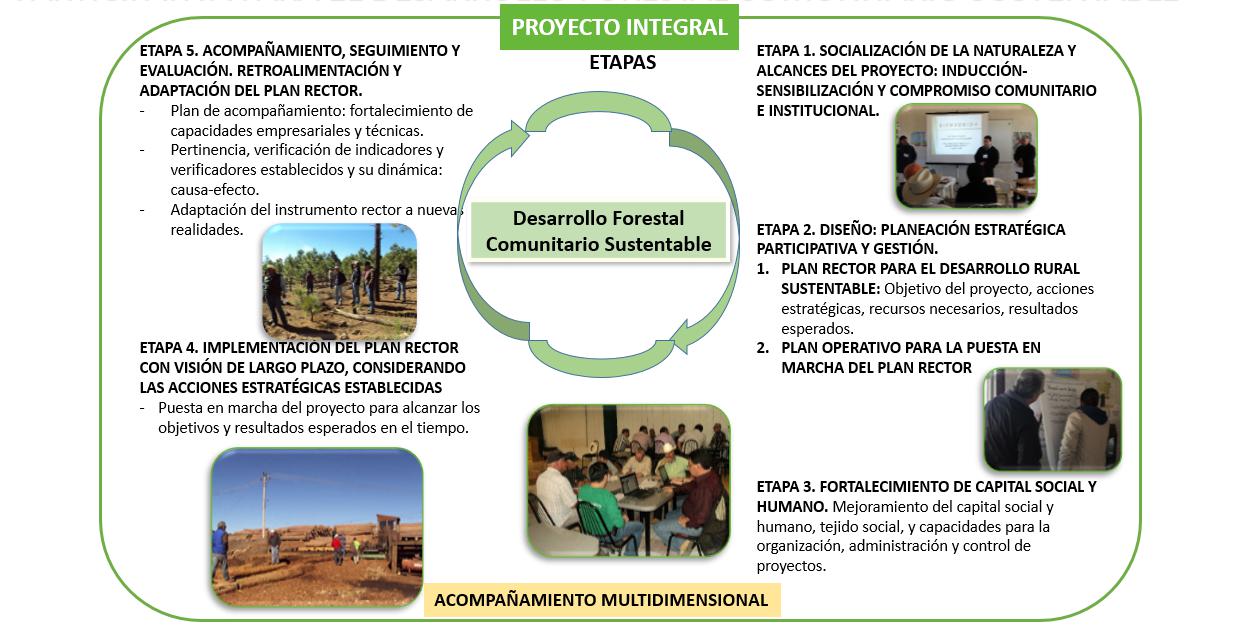 Componentes/Etapas estructurales del proceso de gesti&oacute;n estrat&eacute;gica participativa para el desarrollo forestal sustentable (Luj&aacute;n et al., 2019).