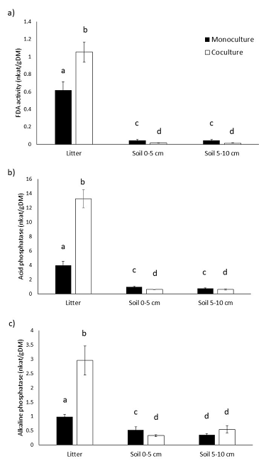 Values of enzyme activity registered in soil and litter of a monoculture and a co-culture of Cedrela odorata, a) FDA activity, b) Alkaline phosphatase activity, c) Acid phosphatase activity. Bars indicate the mean of data. Dispersion bars indicate standard error. Bars followed by different letters are statistically different P &le; 0.05 (Tukey's test).