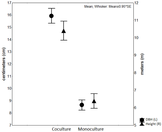 Dendrometric values (DBH in left Y-axis; height in the right Y-axis) of cedar&acute;s trees from monoculture and polyculture systems. Markers indicate the mean of data, and dispersion bars indicate standard error.