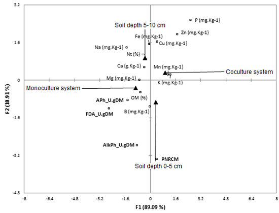 Canonical correspondence analysis. F1 is given by management system variables, and F2 by soil depth variables; percentages of restrictive inertia explained are showed. Square markers represent the relative position of soil physicochemical properties (OM and Nt% and mineral nutrients) and soil bioindicators (PNRCM and enzymatic activities which are shown in bold) concerning the new principal components (F1 and F2).
