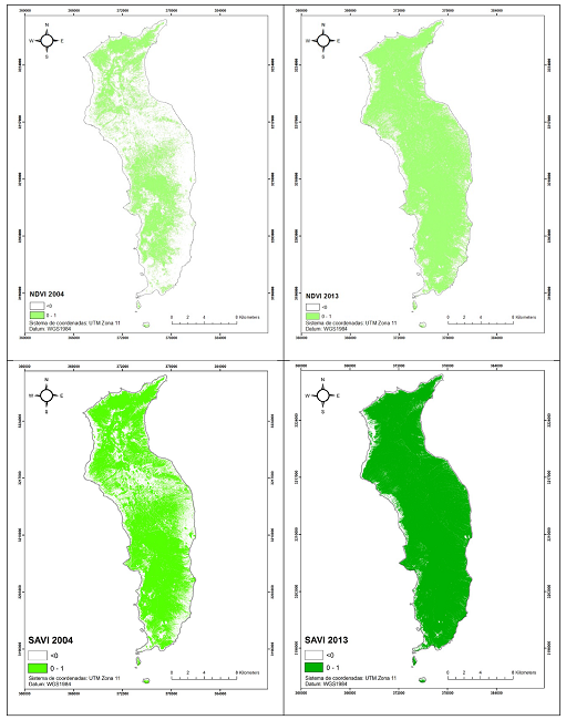 Superficie cubierta por vegetaci&oacute;n de Isla Guadalupe, M&eacute;xico, en
								2004 y 2013, con datos del &iacute;ndice NDVI y
								del &iacute;ndice SAVI. 