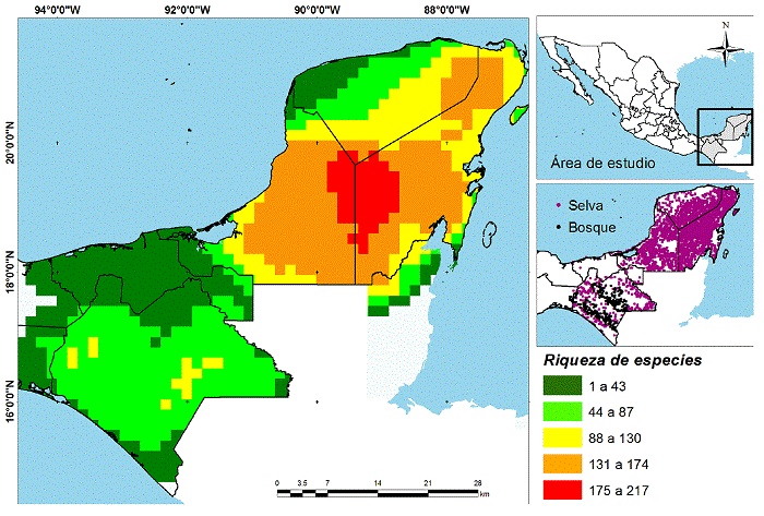 Distribución espacial de las regiones en el sureste de México con mayor presencia de especies arbóreas, obtenidas mediante la técnica Species richness analysis de Sistemas de Información Geográfica.