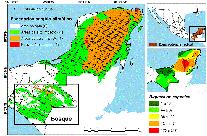 Representación espacial del hábitat climático futuro para las especies arbóreas en el sureste de México, obtenida a partir de modelos de cambio climático en MaxEnt para 2050.