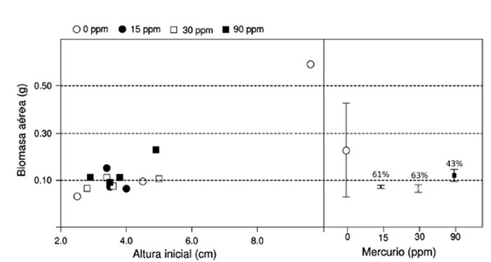 Relación entre biomasa aérea de P. pseudostrobus y altura inicial y relación entre biomasa aérea y concentración de mercurio.