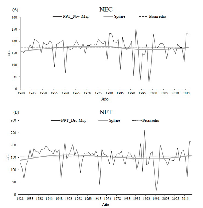 Reconstrucción de precipitación estacional noviembre-mayo (1940-2016) en el NEC (A) y diciembre-mayo (1928-2016) en el NET (B). Spline (curva suavizada). Promedio (promedio histórico de precipitación).