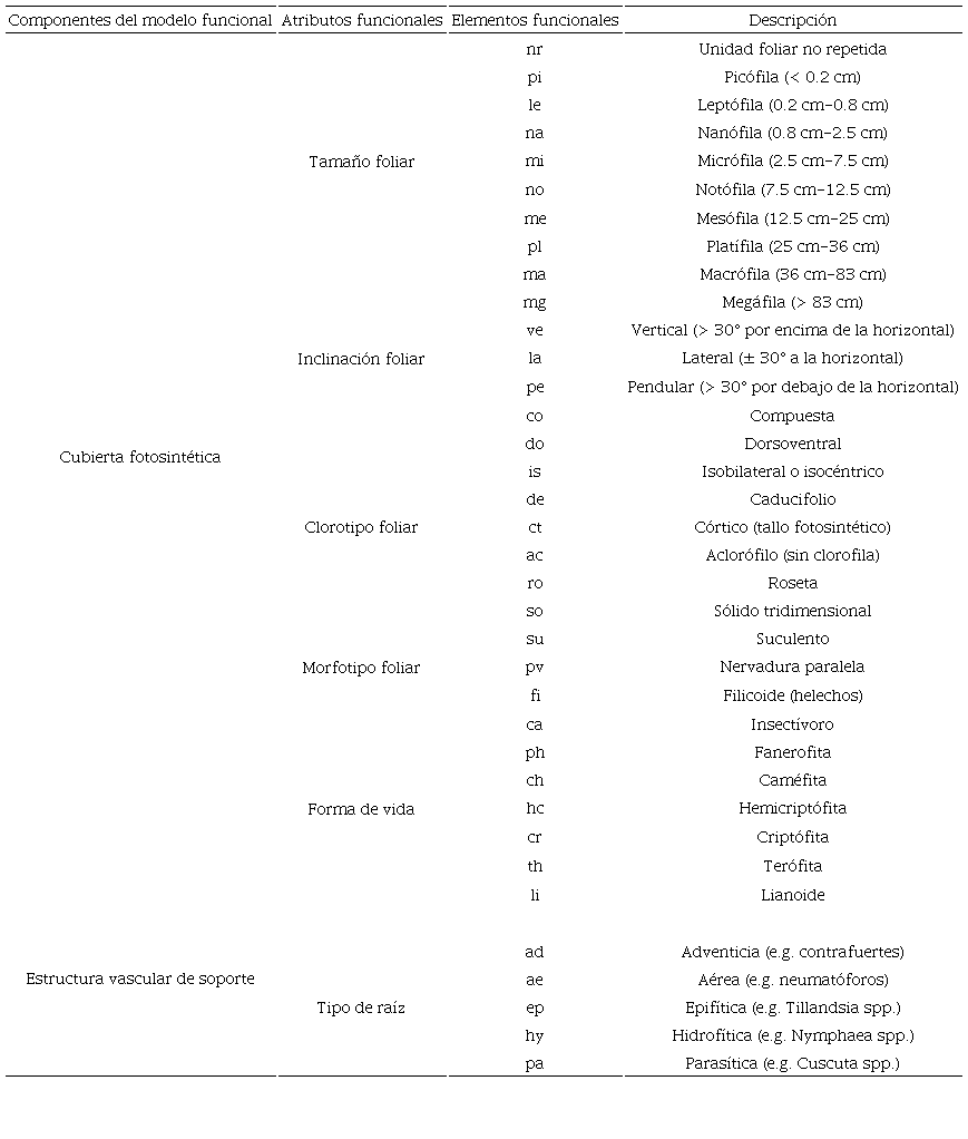Atributos y elementos funcionales del sistema de clasificación de Gillison (2006) para plantas vasculares.