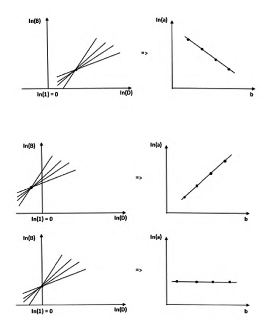 Diferentes patrones de intersección de un conjunto de líneas rectas en el espacio log-log con relación a ln(1) = 0 y relación entre los parámetros 