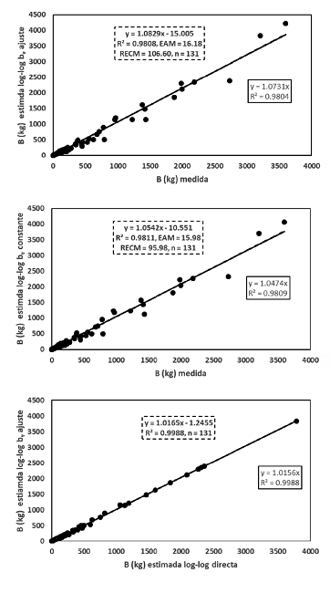 Relación entre el valor de biomasa estimado y el medido, para el caso de bv obtenido de la relación (14) y, con bv = 0.915 (constante general), con R2 > 0.9 de la relación B-D y R2 > 0.9 de H-D, espacio log-log, con el uso de ln(ad) = 5.1299 - 3.0868bd estimada de las regresiones y de la relación entre las estimaciones por regresión en el espacio log-log directa y las realizadas con bv a partir de la ecuación (14) .
