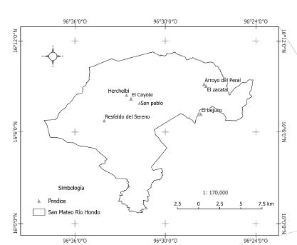 Ubicaci&oacute;n de los predios donde est&aacute;n establecidas las plantaciones de Pinus patula en el municipio de San Mateo R&iacute;o Hondo, Miahuatl&aacute;n, Oaxaca (Fuente del pol&iacute;gono: Inegi, 2012; disponible en Comisi&oacute;n Nacional para el Conocimiento y Uso de la Biodiversidad [Conabio], 2012).