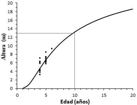 Crecimiento promedio en altura dominante (curva guía) para Pinus patula var. longepedunculata en San Mateo Río Hondo, Miahuatlán, Oaxaca.
