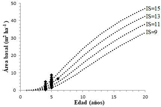 4. Crecimiento en área basal en diferentes índices de sitio para Pinus patula var. longepedunculata en San Mateo Río Hondo, Miahuatlán, Oaxaca.