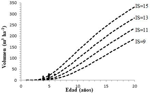 Crecimiento en volumen en diferentes índices de sitio para Pinus patula var. longepedunculata en San Mateo Río Hondo, Miahuatlán, Oaxaca.