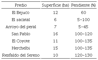 Características de los predios bajo estudio en donde se ubican las plantaciones de Pinus patula var. longepedunculata Loock en San Mateo Río Hondo, Miahuatlán, Oaxaca.