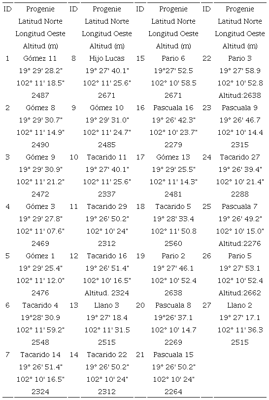 Identificadores, coordenadas y altitud de las familias de medios hermanos de Pinus pseudostrobus (ID) distribuidas en las áreas de extracción de resina.