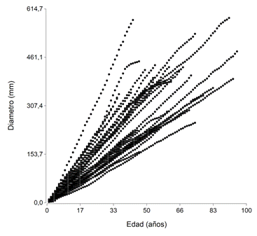 Evoluci&oacute;n del di&aacute;metro de Gonopterodendron sarmientoi seg&uacute;n la edad en Ing. Juarez, Las Lomitas, Las Hacheras y Rivadavia.