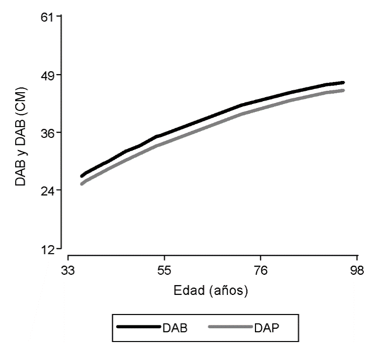 Relaci&oacute;n del crecimiento DAB y DAP en funci&oacute;n de la edad de Gonopterodendron sarmientoi.