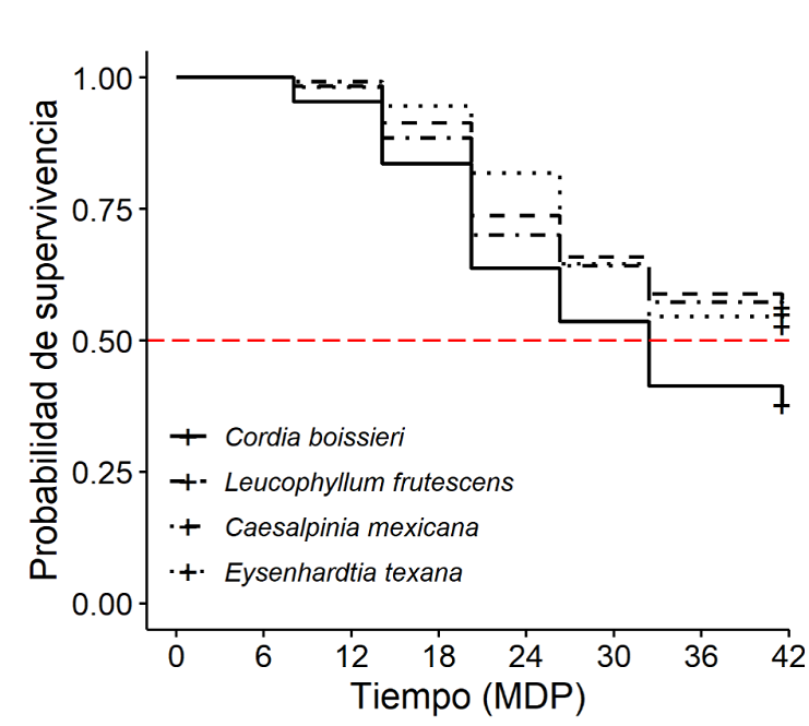 Probabilidad de supervivencia de cuatro especies nativas del matorral espinoso tamaulipeco durante los primeros 41 meses despu&eacute;s de plantado (MDP).