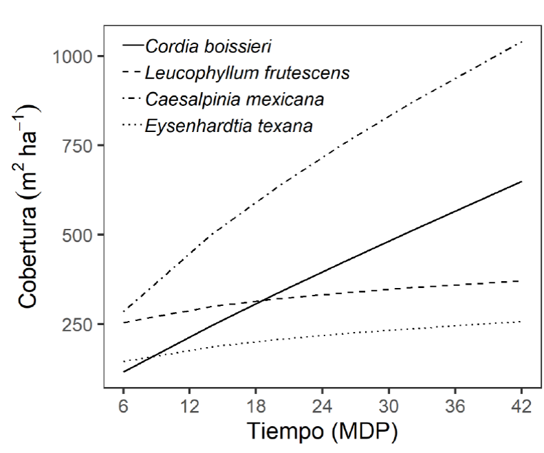 Evoluci&oacute;n de la cobertura total de cuatro especies nativas del matorral espinoso tamaulipeco durante los primeros 41 meses despu&eacute;s de plantado (MDP).