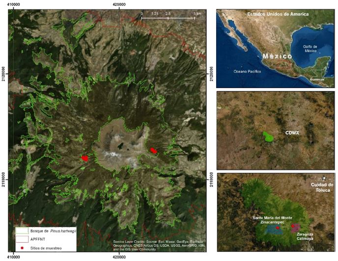 Localizaci&oacute;n de los sitios de muestreo de extracci&oacute;n forestal.