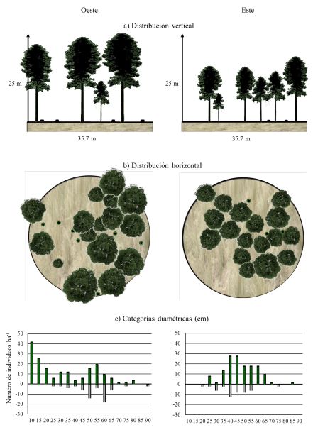 Estructura vertical (a), estructura horizontal (b), y distribuci&oacute;n diam&eacute;trica de los sitios de medici&oacute;n de extracci&oacute;n forestal (c), en dos exposiciones del &Aacute;rea de Protecci&oacute;n de Flora y Fauna Nevado de Toluca.