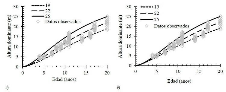 Curvas de crecimiento para tres clases de &iacute;ndice de sitio al despejarlos par&aacute;metros 𝑎&#553492 (a: polim&oacute;rfico) y 𝑎&#553493 (b: anam&oacute;rfico) para plantaciones forestales comerciales de Pinus patula en el Estado de M&eacute;xico.