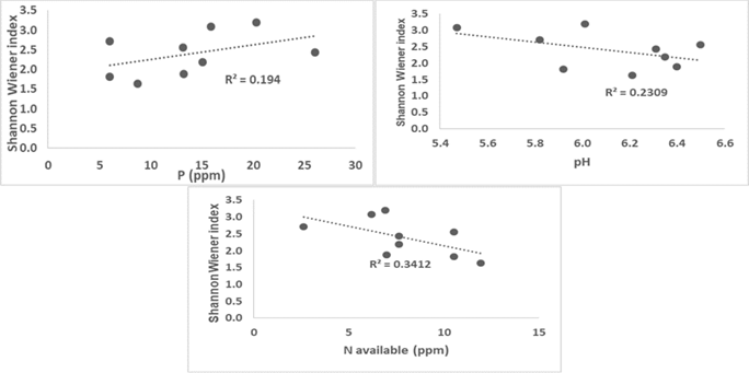 Correlaciones de Pearson entre el índice de diversidad de Shannon Wiener con el P disponible (ppm), el N disponible (ppm) y el pH H2O del suelo. 